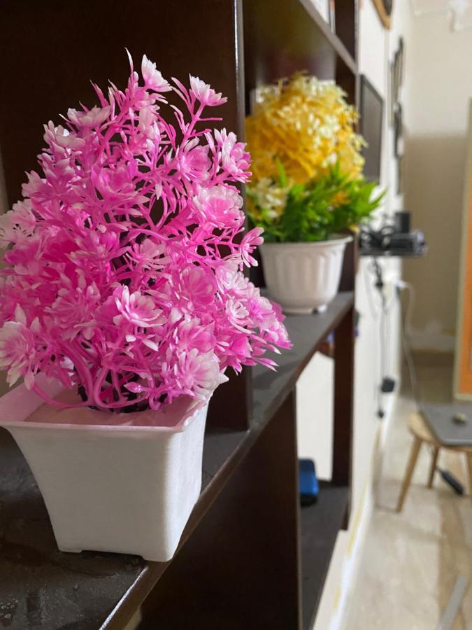 Jawai Bagpackers Hostel Sheoganj Екстериор снимка